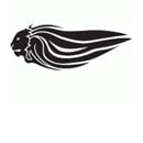 Download Aprilia Lion Logo Vector