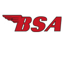 Download BSA Logo Vector