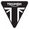 Triumph logo: history, evolution, meaning